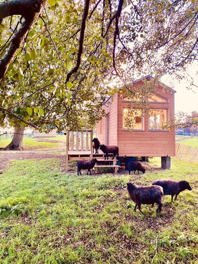 הוילה שולה Jolie Tiny House Sous Les Grands Arbres מראה חיצוני תמונה
