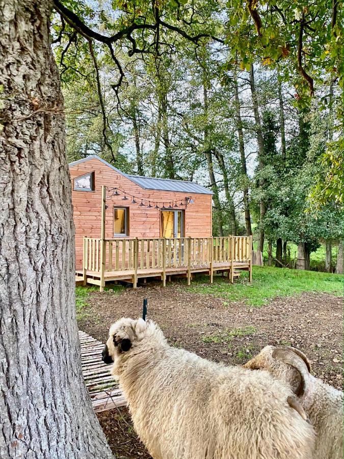הוילה שולה Jolie Tiny House Sous Les Grands Arbres מראה חיצוני תמונה