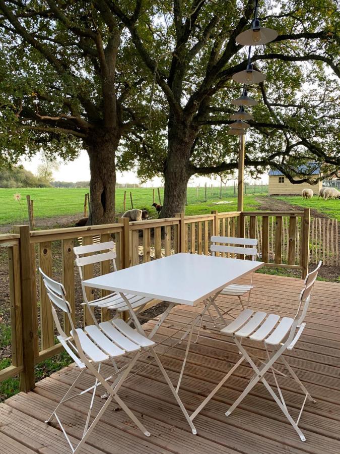 הוילה שולה Jolie Tiny House Sous Les Grands Arbres מראה חיצוני תמונה