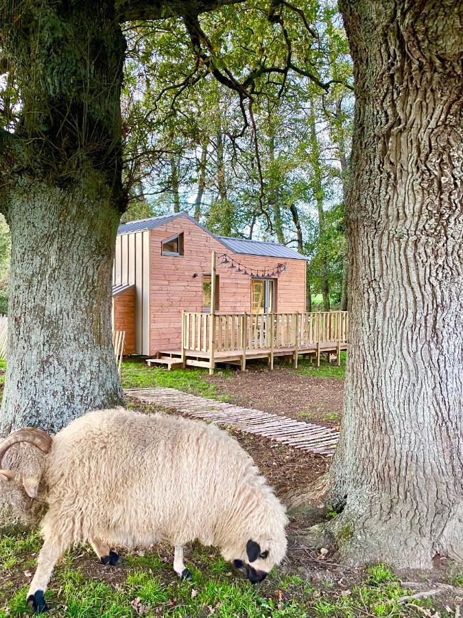 הוילה שולה Jolie Tiny House Sous Les Grands Arbres מראה חיצוני תמונה