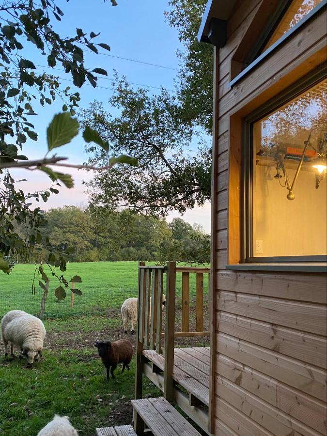 הוילה שולה Jolie Tiny House Sous Les Grands Arbres מראה חיצוני תמונה