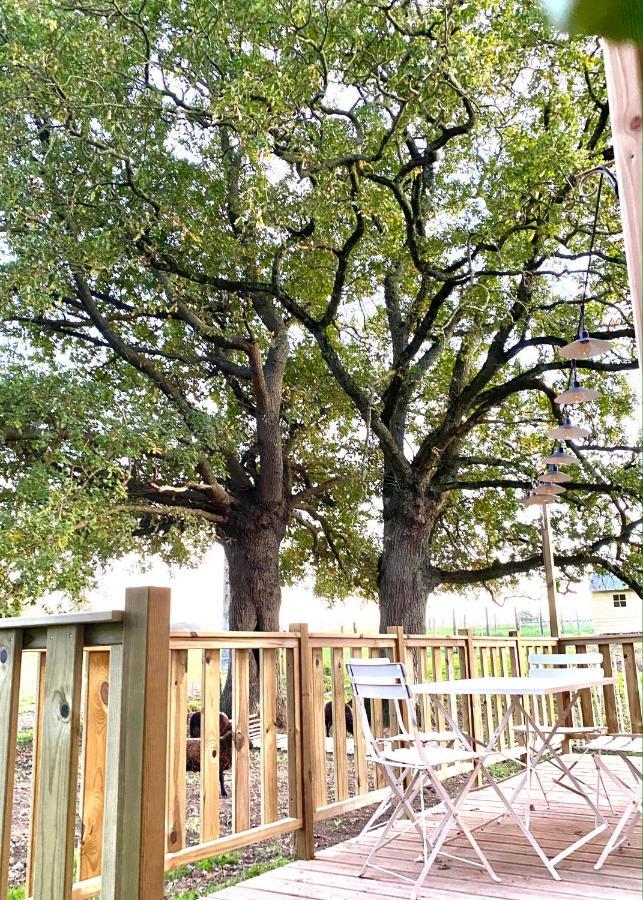 הוילה שולה Jolie Tiny House Sous Les Grands Arbres מראה חיצוני תמונה